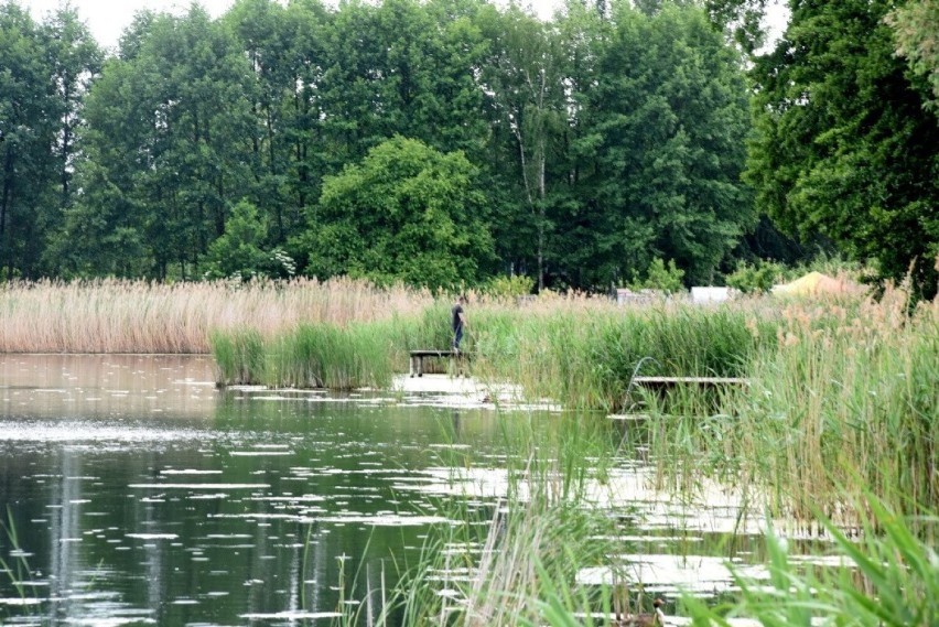 Uroki Lubięcina nad wodą. Czy powinny tutaj pływać...