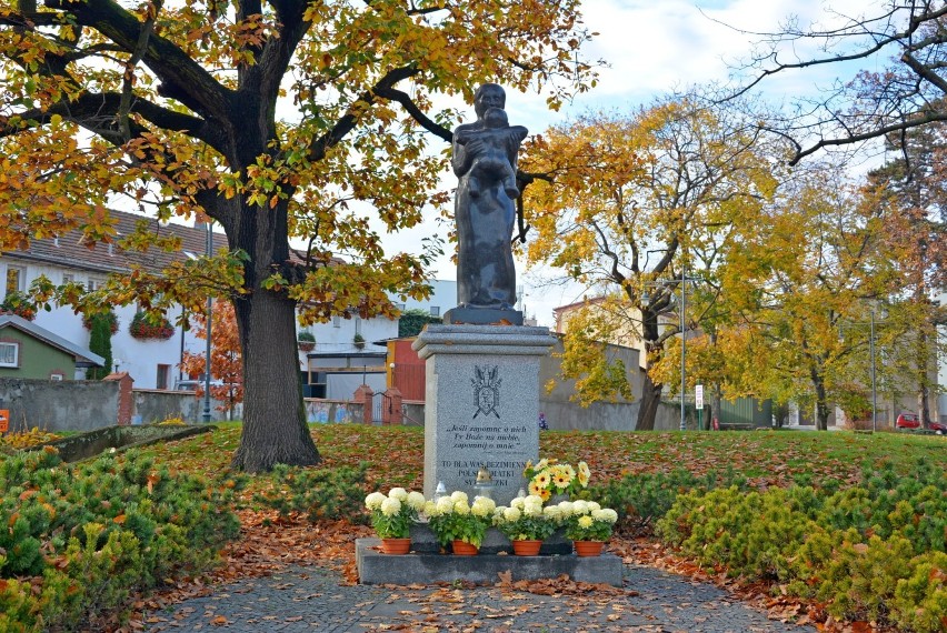 Strzegom. Urząd odkupił chryzantemy. Kwiaty dekorują strzegomskie pomniki