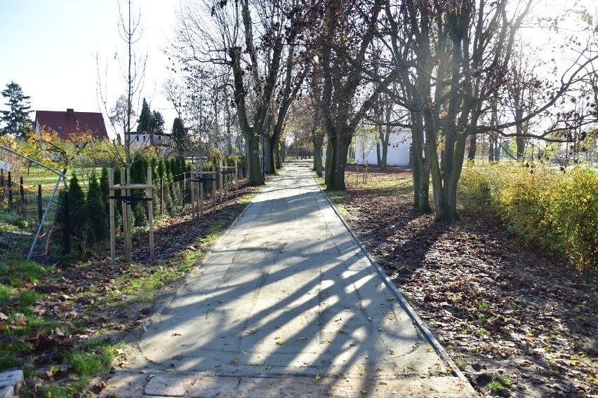 Tak wygląda park nad Małym Jeziorem Żnińskim 08.11.2022.