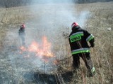 Racibórz: pożary traw. Strażacy znowu mieli pełne ręce roboty