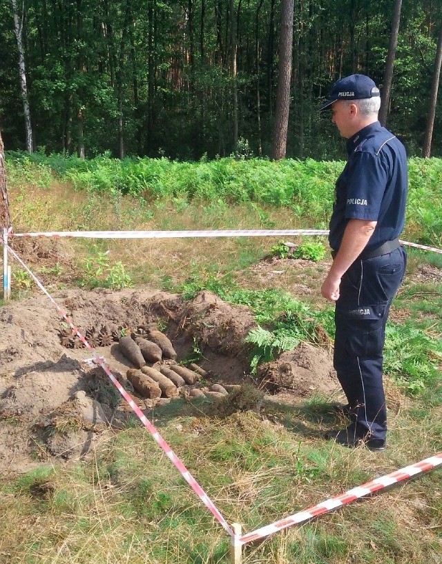 Na nietypowe znalezisko natrafił pracownik firmy sapersko-minerskiej podczas prac na pasie wyciętego lasu przygotowanego pod budowę drogi S-5 w miejscowości Święte, pow. świecki. Na miejsce natychmiast pojechali policjanci. Funkcjonariusze ustalili, że wykopane niewybuchy to kilkadziesiąt sztuk pocisków karabinowych, granatów ręcznych i moździerzowych pochodzących z czasów II wojny światowej. Niebezpieczne znalezisko do czasu przybycia saperów z Chełmna zabezpieczyli mundurowi z Posterunku Policji w Dragaczu.