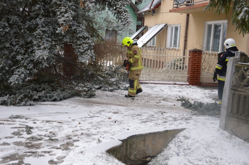 Burza śnieżna przeszła nad Skierniewicami i powiatem. Zerwane dachy i nieprzejezdne drogi