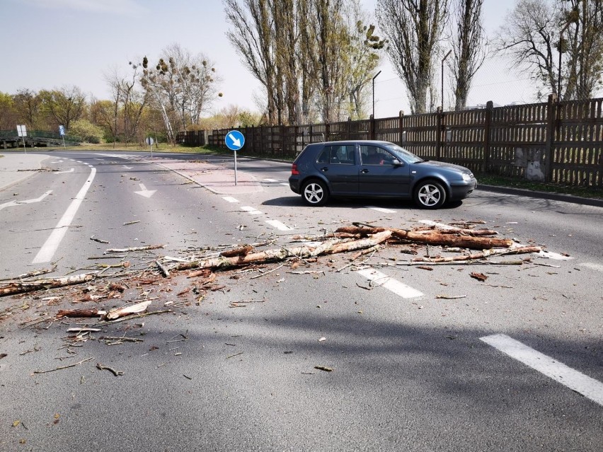 23.04.2019 torun silny wiatr i wichury obalone drzewo na...