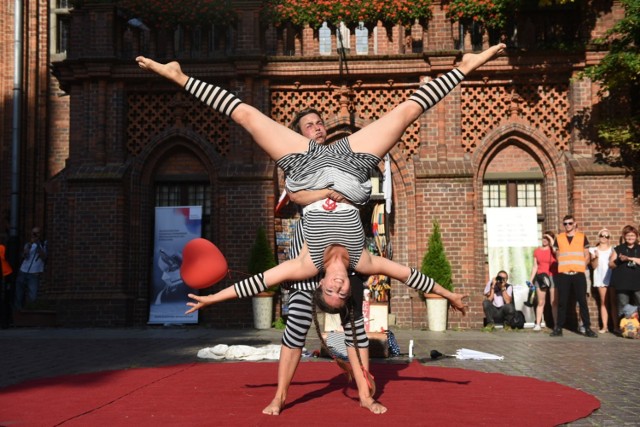 Kolejna odsłona Festiwalu Teatrów Ulicznych w Toruniu za nami. Tym razie dwie artystki z Austrii zaprezentowały przedstawienie pt. "[Dream!] – Belle Etage". Zobaczcie, jak było!

Polecamy: Lubickie Lato 2018. Tłumy na koncercie zespołu "Piękni i Młodzi". Poszukaj siebie! [DUŻO ZDJĘĆ]

Zobacz także: Weekend w Toruniu. Gorące imprezy w Bajka Disco Club [ZDJĘCIA]

Zobacz także:

