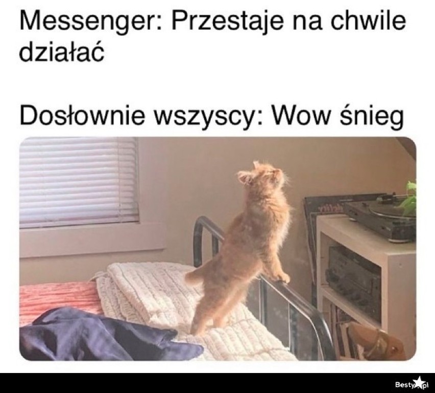 WhatsApp, Messenger, Signal, Telegram, Viber... Tak dzisiaj wygląda nasze życie w czasach komunikatorów internetowych [MEMY]