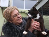 W Piotrkowie opiekunowie bezdomnych kotów dostaną dla nich karmę. Jak i czy nowe przepisy pomogą?