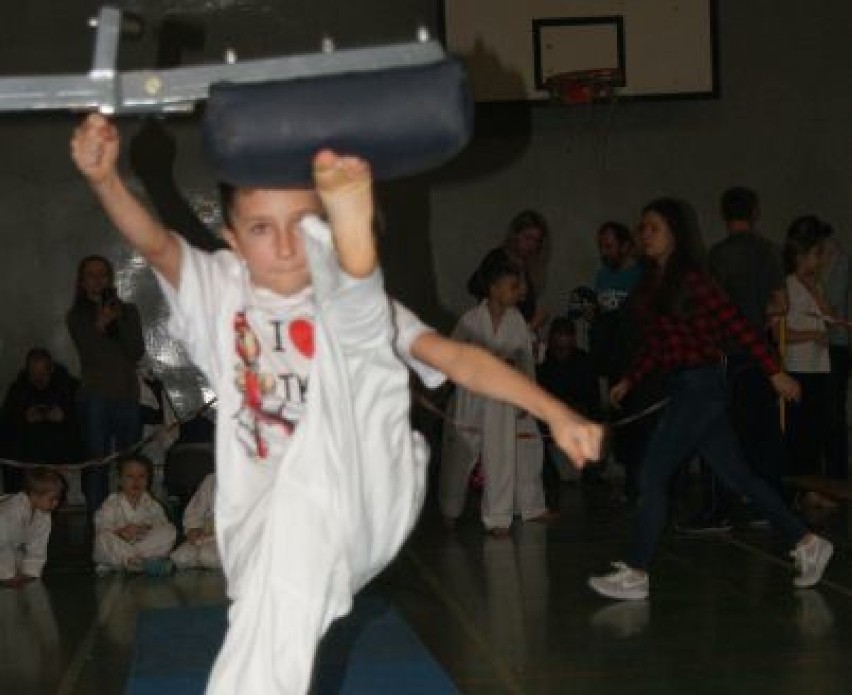 W Śremie: VI Wielkopolski Turniej Dla Dzieci o Puchar Feniksa w Taekwondo Olimpijskim [ZDJĘCIA]