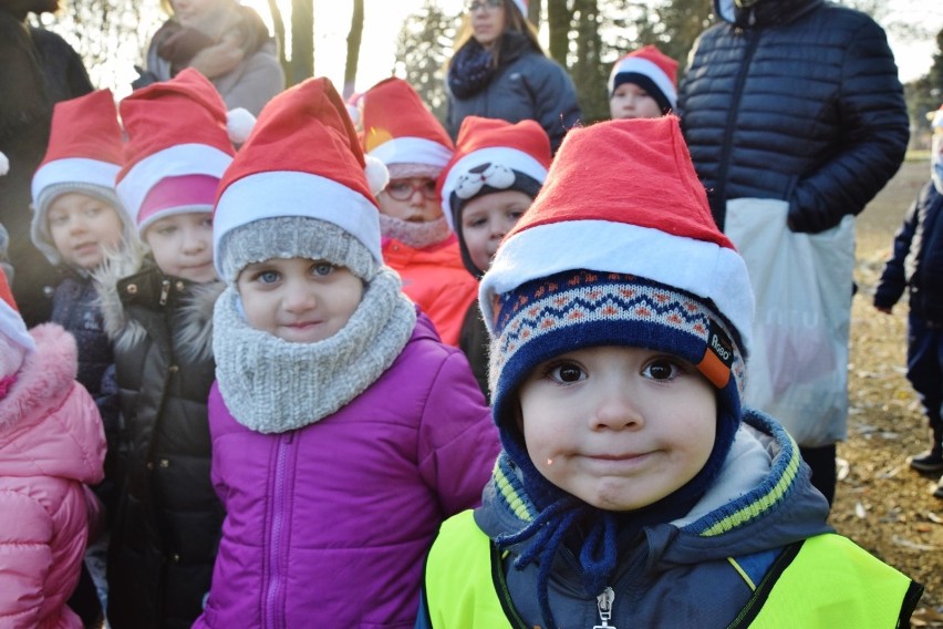 Rajd Mikołajkowy PTTK w Sieradzu 2018. W zabawie-wędrówce uczestniczyło blisko 80 przedszkolaków (zdjęcia)