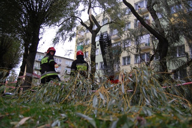 Konar drzewa złamał się między blokami na osiedlu Piastowskim w Człuchowie