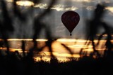Zawody balonowe w Nałęczowie 2017. Wyślij zdjęcie i wygraj lot balonem (PLEBISCYT)