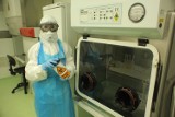 Jak bada się testy na koronawirusa? Specjalne laboratorium na Mokotowie. Dziennie badają do 200 próbek