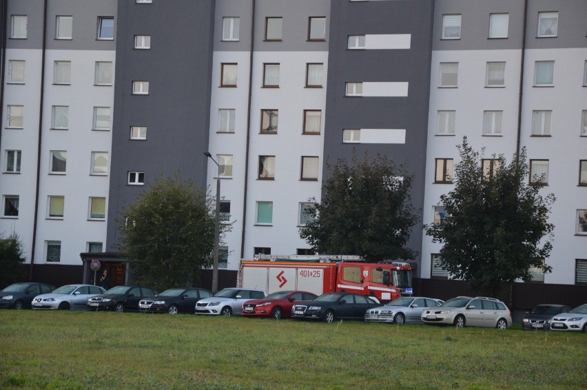 Fałszywy alarm na osiedlu Binków w Bełchatowie  
