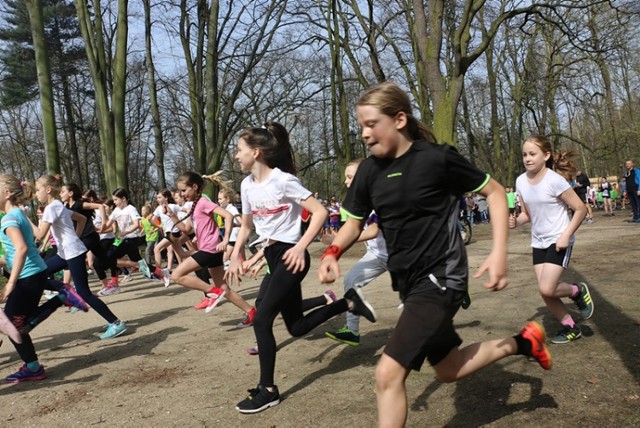 Mistrzostwa Kalisza w biegach przełajowych