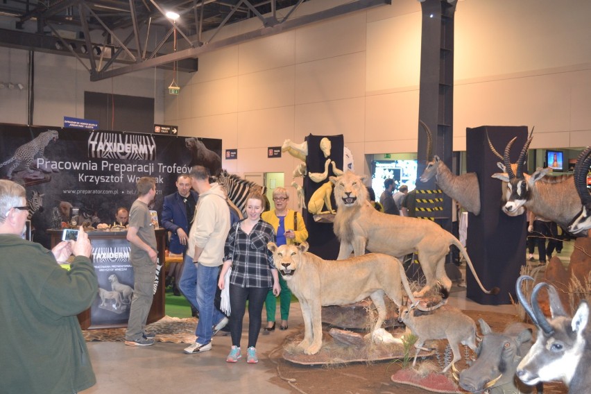 ExpoHunting 2015: trwa wystawa w Expo Silesia [ZDJĘCIA]