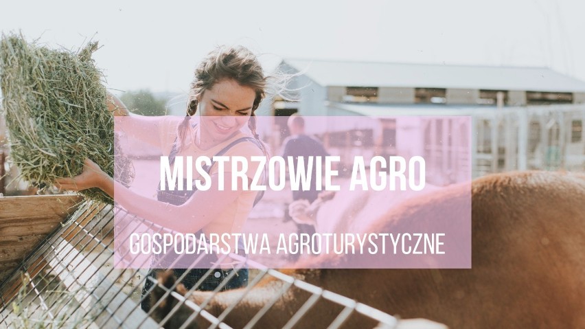 MISTRZOWIE AGRO 2019. Gospodarstwa agroturystyczne na Pomorzu. To tu można odpocząć w pięknych okolicznościach. Gdzie warto wyjechać?