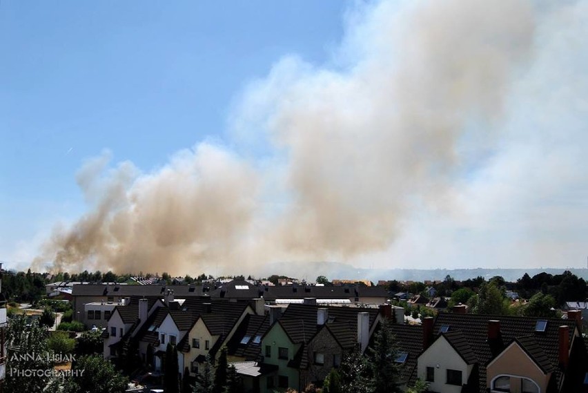Pożar w Częstochowie: Palą się lasy i nieużytki na terenach zalewowych [ZDJĘCIA, WIDEO,AKTUALIZACJA]