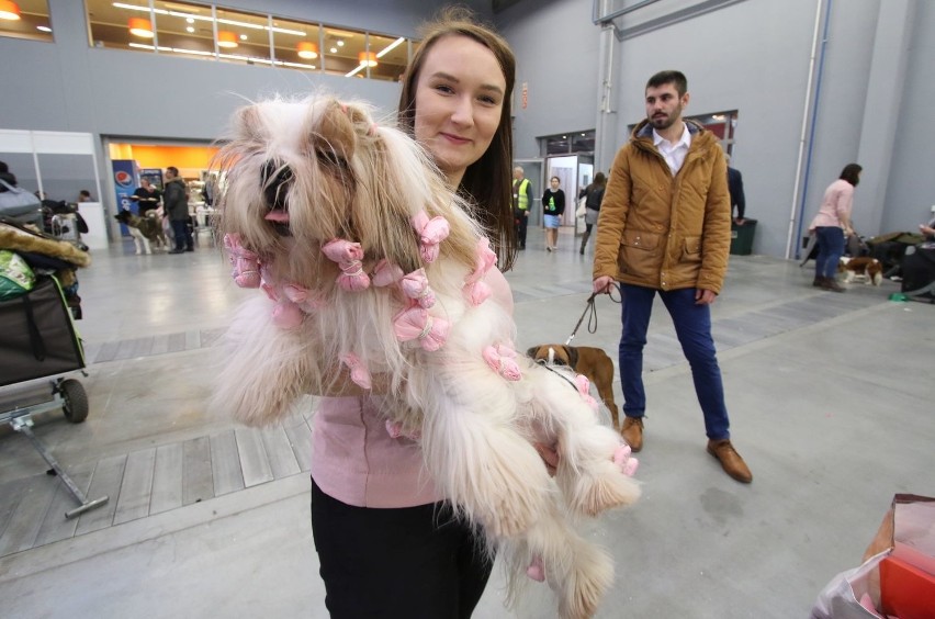 Psy pająki i potworne kościotrupy... w niedzielę w Targach Kielce