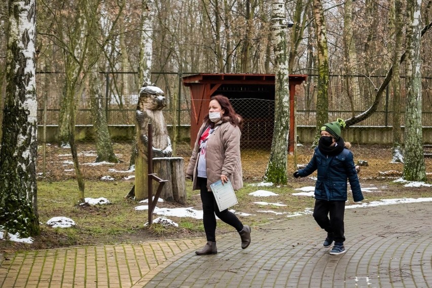 Ferie w myślęcińskim zoo potrwają do 17 stycznia. Uczestnicy...