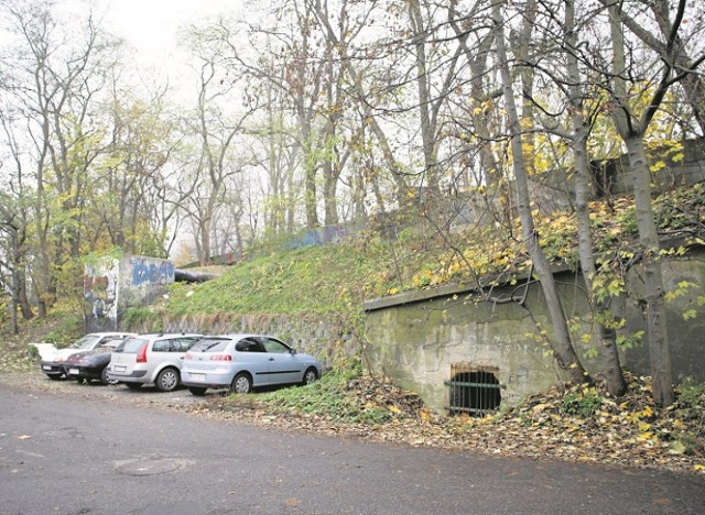 Mieszkańcy nie chcą, aby te drzewa na Grabówku zostały wkrótce wycięte. Sprawę rozpatrzy sąd administracyjny