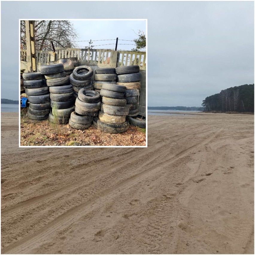 Trwa sprzątanie plaż Zalewu Sulejowskiego, pozwala na to obniżony poziom wody. Wywieziono tony śmieci [ZDJĘCIA]