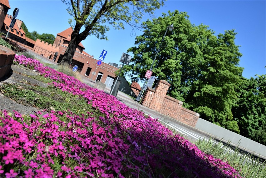 Malbork. Wyposażenie zewnętrznego muzeum przy murach Starego Miasta zostało zniszczone. To miała być jedna z malborskich atrakcji