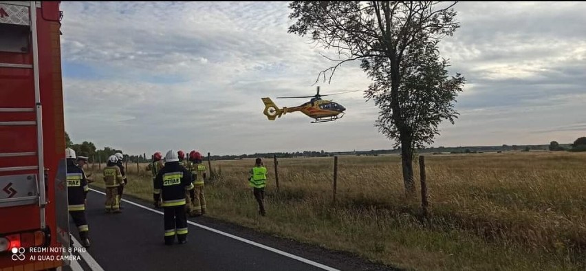 Auto dachowało i uderzyło w drzewo