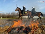 Śląska Policja wzbogaciła się o kolejnego "kopytnego" funkcjonariusza i jeźdźca. W Częstochowie odbyła się atestacja I i II stopnia