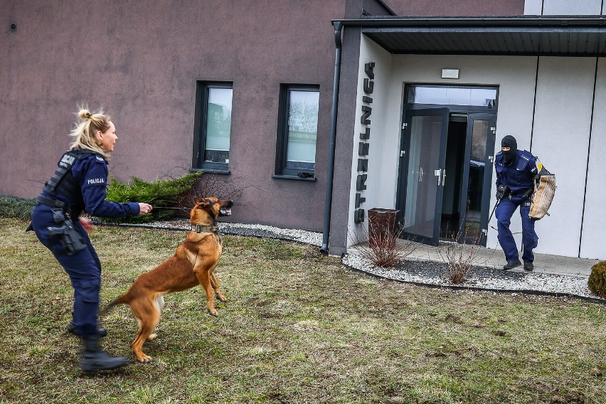 Leszczyńska policja obecnie ma cztery psy służbowe....