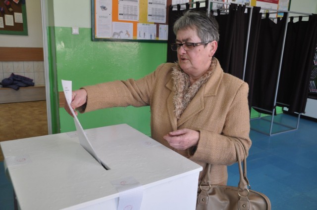 Głosowanie w roku 2015, piknik organizowany przez radę osiedla Kołobrzeska