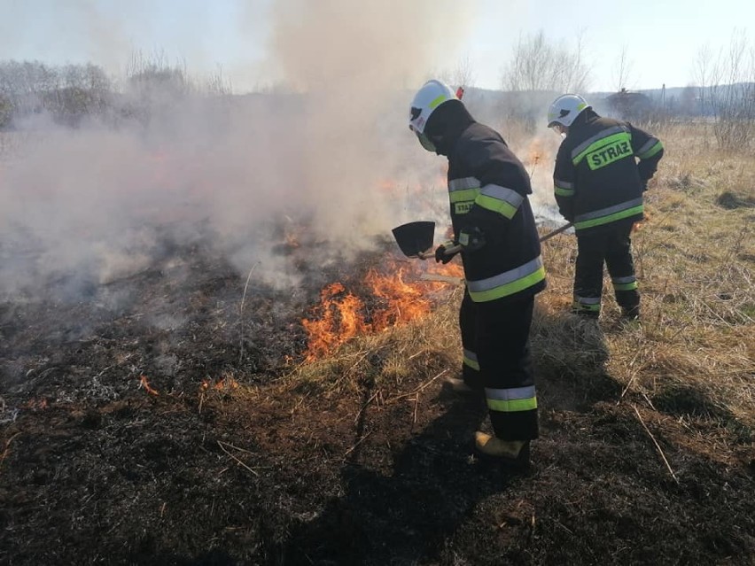 Wypalania traw ciąg dalszy. Strażacy interweniowali już 88 razy. W ten weekend też wyjeżdżali kilkukrotnie. Kiedy to się skończy?