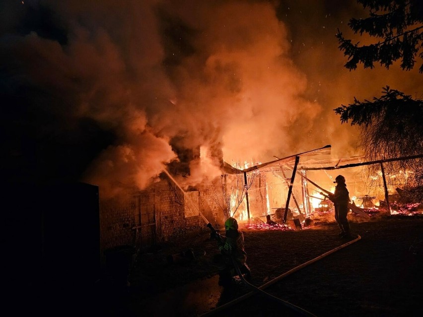 Do pożaru doszło w miejscowości Rybojady pod Trzcielem.
