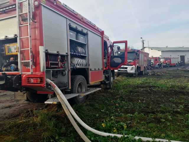 Strażacy z Lubiewa, Śliwic i Cekcyna - ta ekipa z powiatu tucholskiego w niedzielę 15 listopada pomagała w dogaszaniu ogromnego pożaru