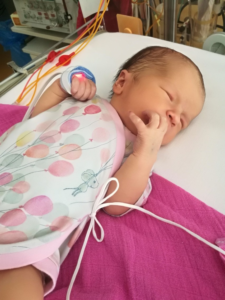 We wtorek w szpitalu w Austrii urodziła się Łucja Krzywda,...