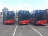 Nowa linia autobusowa w Żywcu. Od września