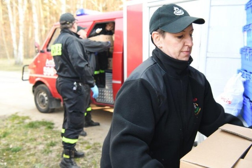 Region. Wielkanocny "zajączek" od Fundacji Amicis [ZDJĘCIA]