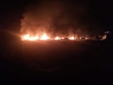 Nocny pożar słomy w Międzychodzie - spaliło się około 20 balotów