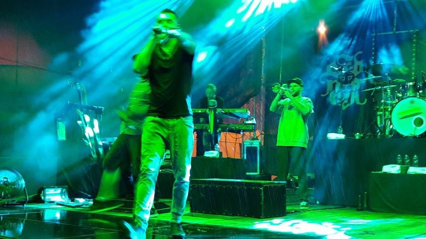 Kamil Bednarek, koncert w Jastarni - Zatoka Reggae