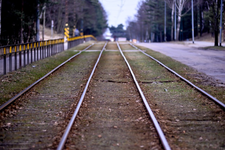 Linia tramwajowa na Stogi będzie wyremontowana