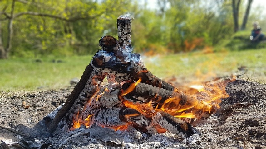 Tu przy ulicy Papirusów jest prawdziwy raj dla wszystkich,...