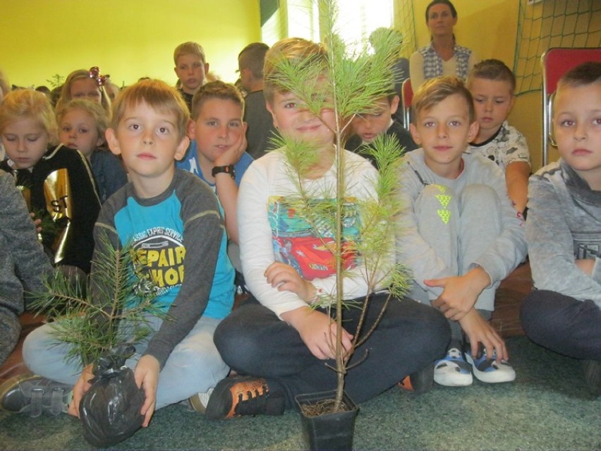 Uczniowie z Zakrzyna już wiedzą, jak ważne dla ludzi są drzewa