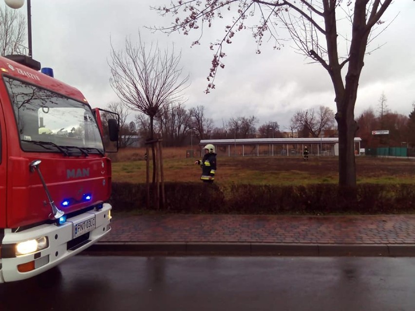 Nagłe zatrzymanie krążenia. Walka o życie mężczyzny. W akcji ratunkowej OSP oraz helikopter LRP[Zdjęcia]