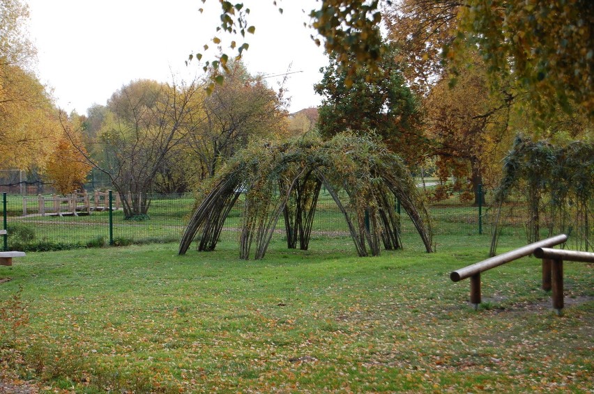 Sopockie Błonia są często odwiedzane przez mieszkańców.