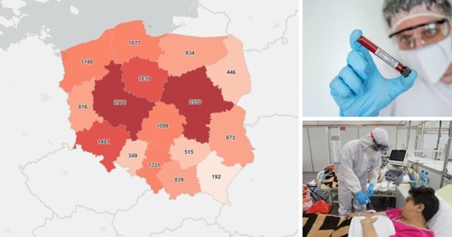 W woj. śląskim przybyło 1331 nowych przypadków zakażenia koronawirusem. 

W całej Polsce odnotowano ich 18 282. 

To nowe dane podane przez Ministerstwo Zdrowia 24 lutego 2022 roku. 

Ilu jest chorych w poszczególnych miastach?

Szczegółowe informacje o zakażeniach w naszym regionie znajdziecie na kolejnych slajdach >>>