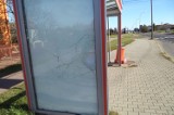 Wandale nagminnie niszczą przystanki autobusowe w Ostrowcu [ZDJĘCIA]