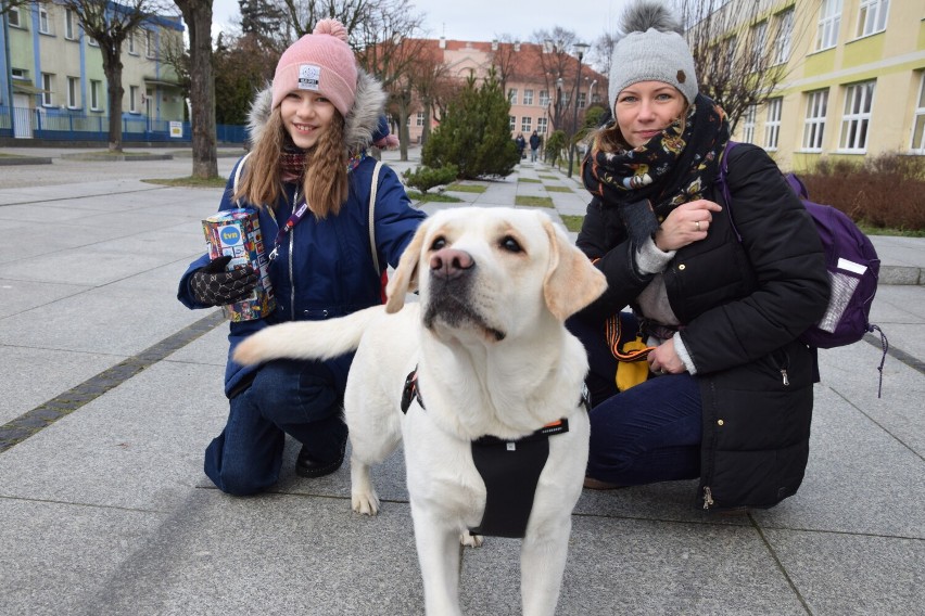 WOŚP 2023 w Sieradzu. Sztab przy Szkole Podstawowej nr 1 gra od samego rana. Kwestuje 90 wolontariuszy ZDJĘCIA