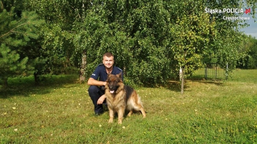 Sara po sześciu latach służby przeszła na emeryturę [ZDJĘCIA]. Policyjny pies zamieszka ze swoim opiekunem