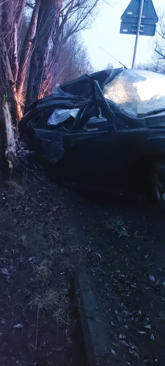 Szczytna: kierująca fordem wypadła z drogi i uderzyła w drzewo