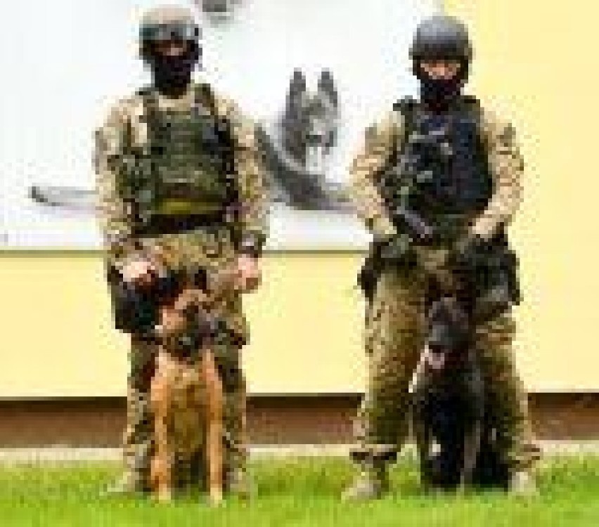 Policyjne psy do zadań specjalnych
