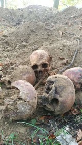 Makabryczne odkrycie w Gorzowie. W czasie prac budowlanych znaleziono ludzkie kości [ZDJĘCIA]
