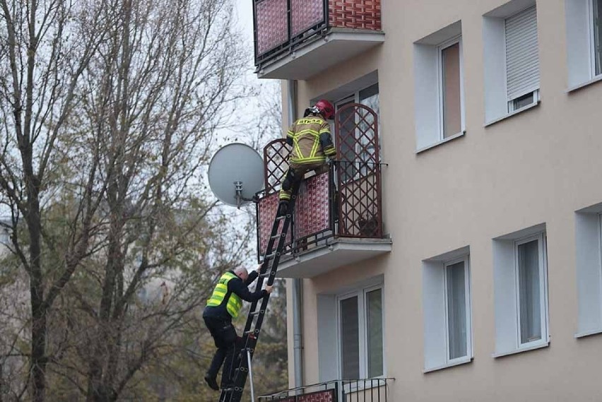 Do zdarzania doszło w środę, 21 listopada, przy ul. Anieli...